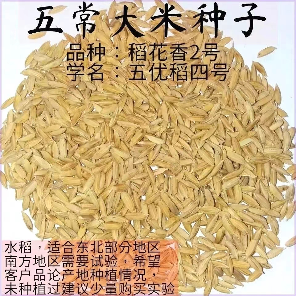 圖片5.png