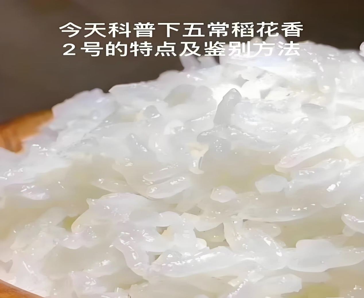 圖片3.png