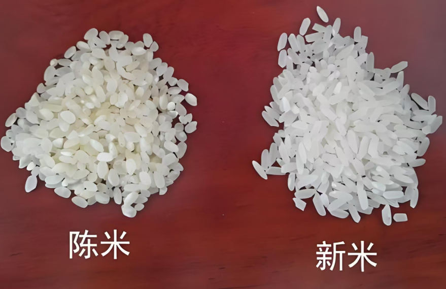 圖片1.png